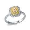 white gold / yellow gold / 18kt / 54