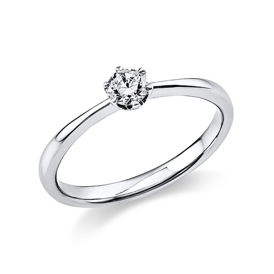 Ring 6 prongs 14 kt white gold