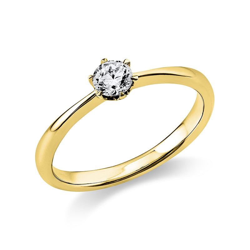 Ring 6 prongs 14 kt gold