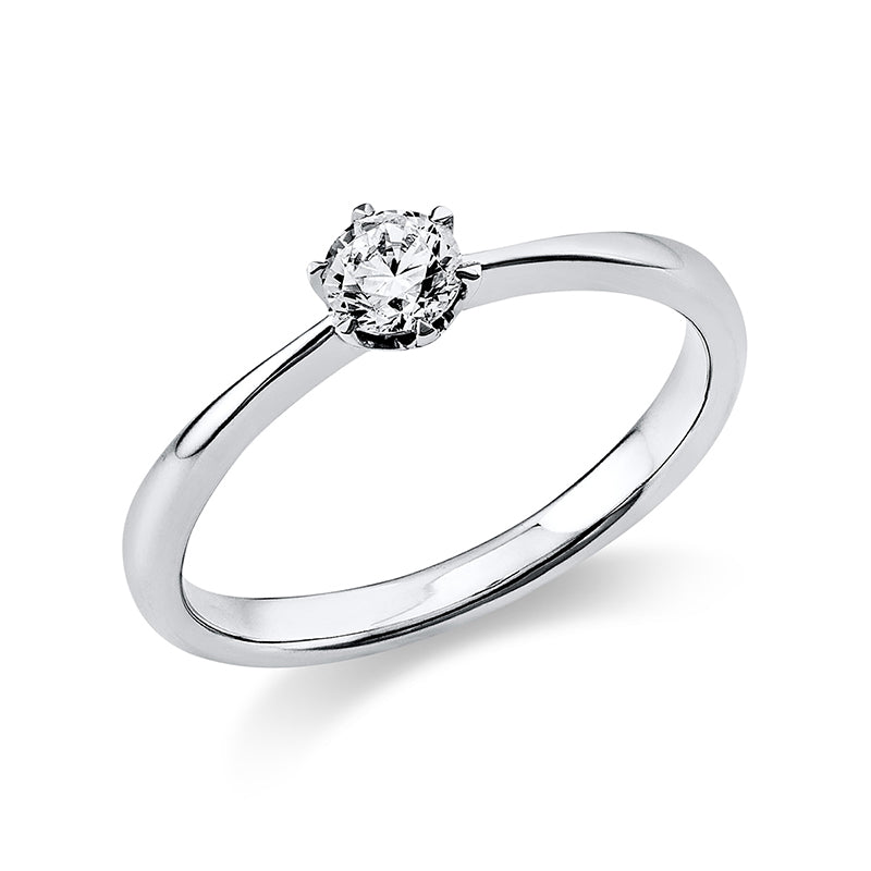 6 prong ring 18 kt white gold