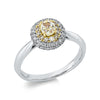 white gold / yellow gold / 18kt / 54