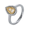 white gold / yellow gold / 18kt / 54