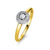 yellow gold / white gold / 18kt / 54