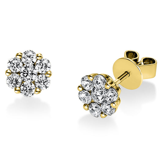 Ear studs 14 kt gold