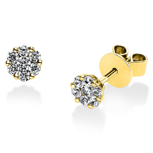 Ear studs 14 kt gold