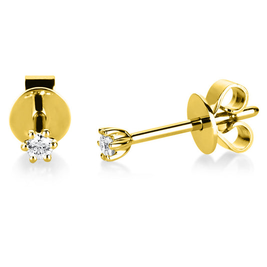 Ear studs 6 prongs 14 kt gold