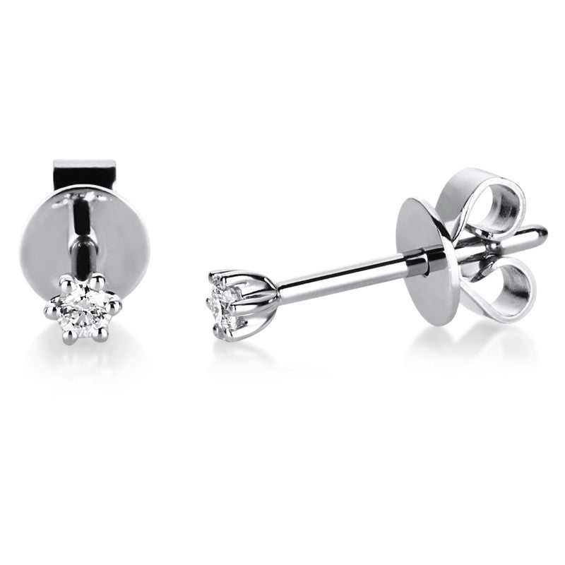 Ear studs 6 prongs 14 kt white gold