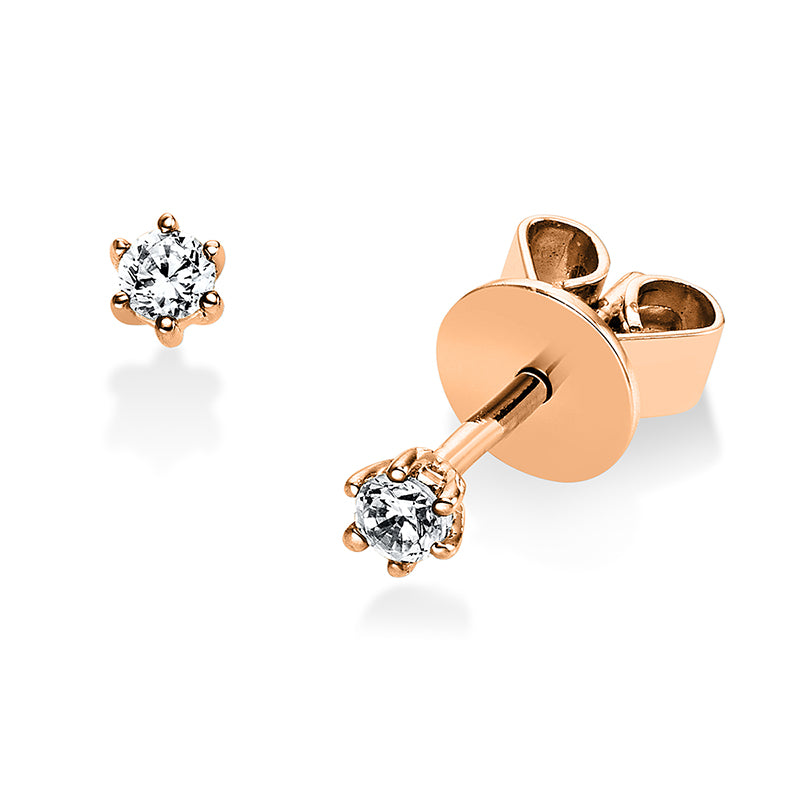 Ear studs, 6 prongs, 14 kt