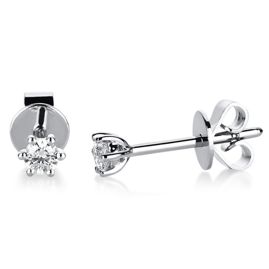 Ear studs 6 prongs 14 kt white gold