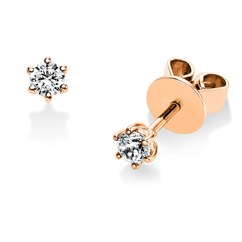 Ear studs, 6 prongs, 14 kt