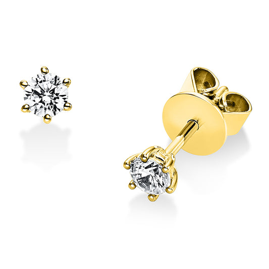 Ear studs 6 prongs 14 kt gold