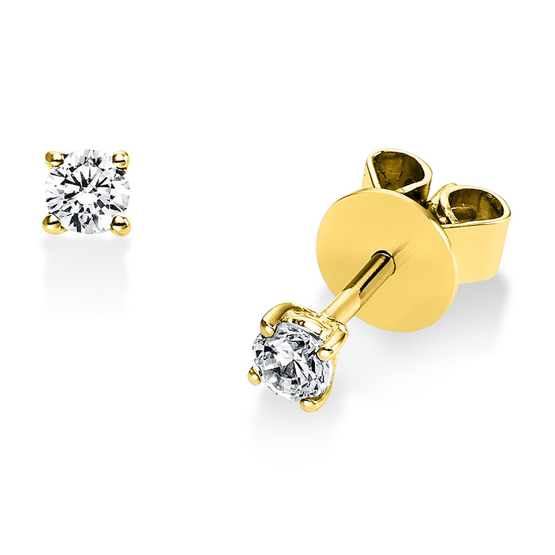 Ear studs 4 prongs 14 kt gold