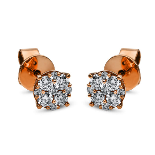 Ear studs 18 kt RG