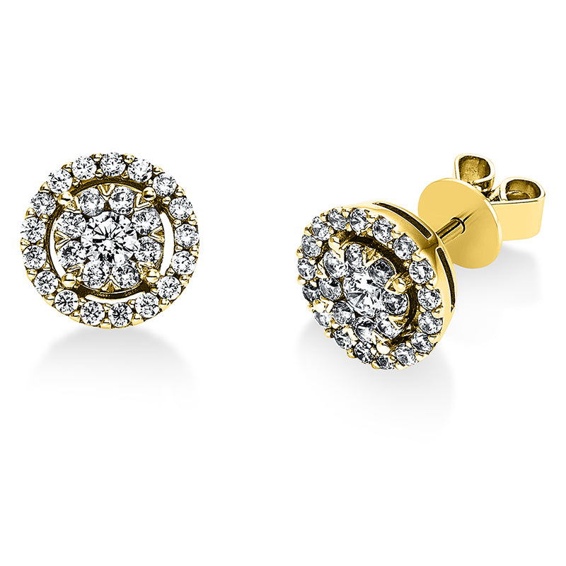 Ear studs 14 kt gold