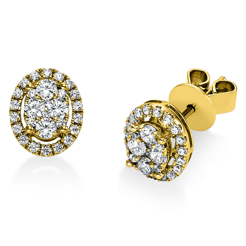 Ear studs 14 kt GG oval