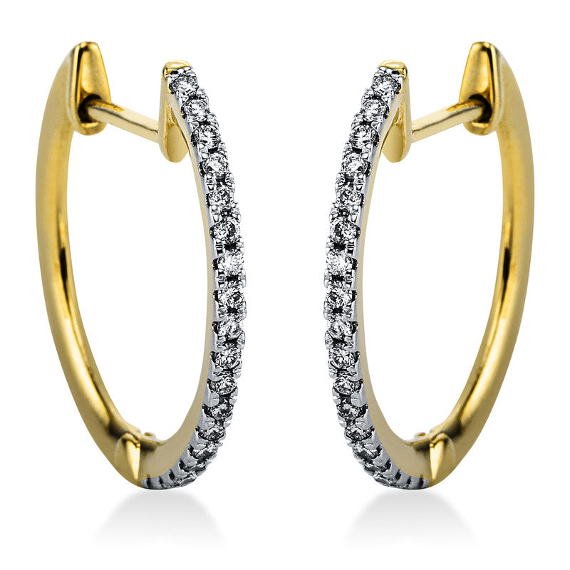 Hoop earrings 14 kt GG+WG