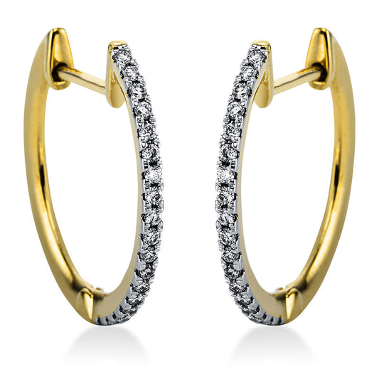 Hoop earrings 14 kt GG+WG