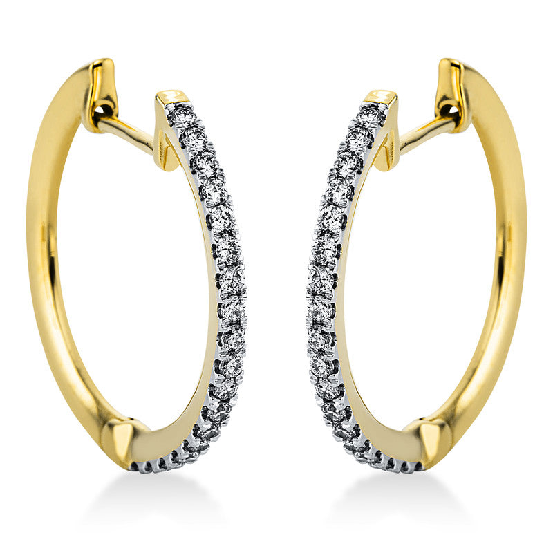 Hoop earrings 14 kt GG+WG