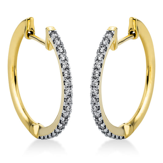 Hoop earrings 14 kt GG+WG