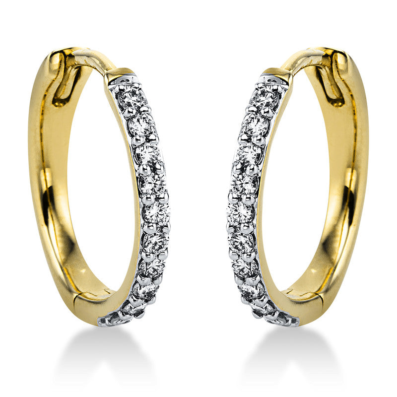 Hoop earrings 14 kt GG+WG