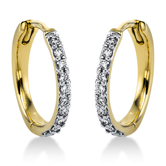 Hoop earrings 14 kt GG+WG