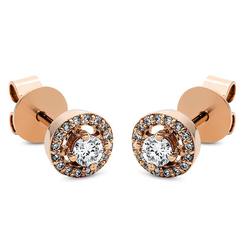 Ear studs 4 prongs 18 kt