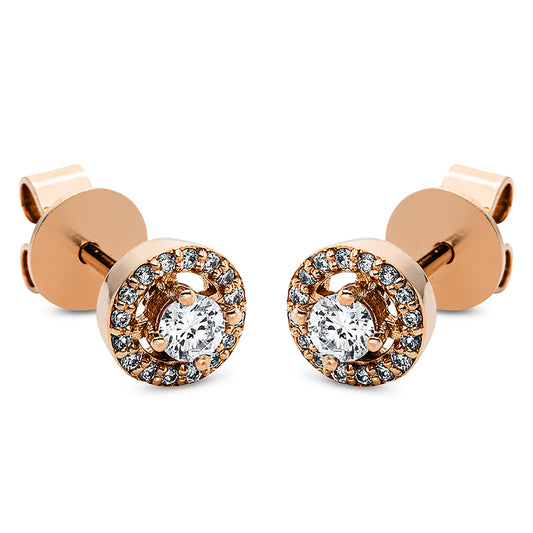 Ear studs 4 prongs 18 kt