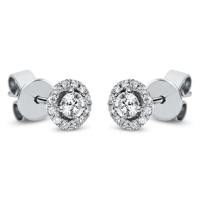 Ear studs 4 prongs 18 kt white gold