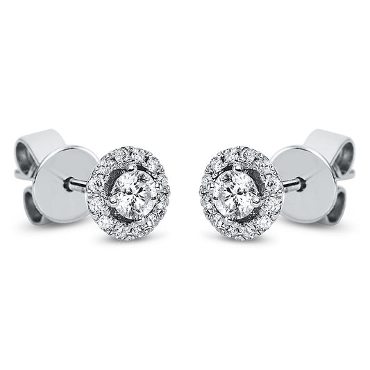 Ear studs 4 prongs 18 kt white gold