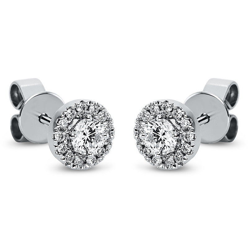 Ear studs 4 prongs 18 kt white gold