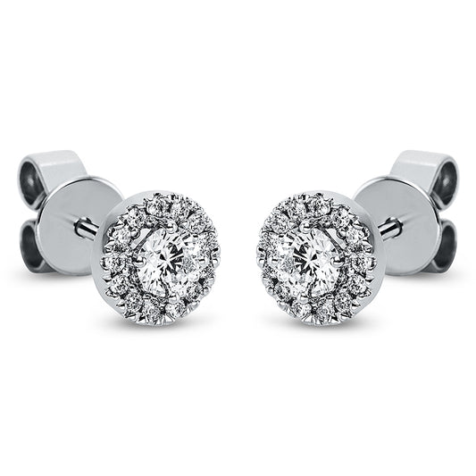 Ear studs 4 prongs 18 kt white gold