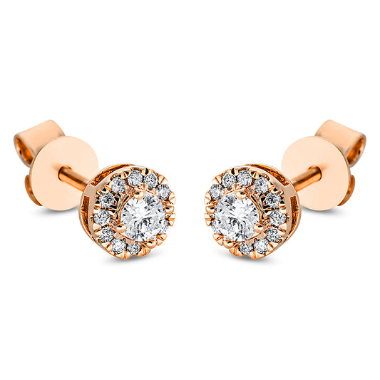 Ear studs 18 kt RG