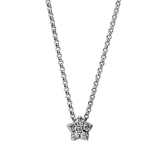 Collier 14 kt WG Stern